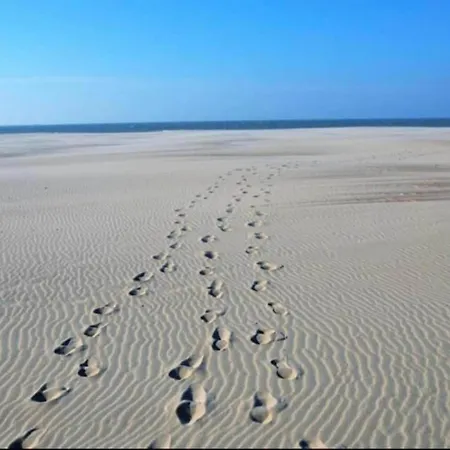 In Near Sandy Beaches Lägenhet Nieuwpoort