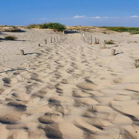 In Near Sandy Beaches