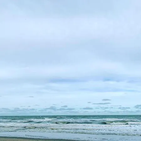 In Near Sandy Beaches Nieuwpoort